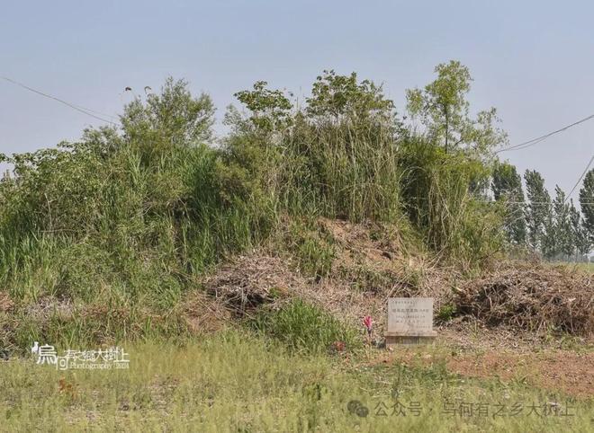 行车来到邯郸讲武城东已经是东魏、北齐勋贵墓群的过渡带