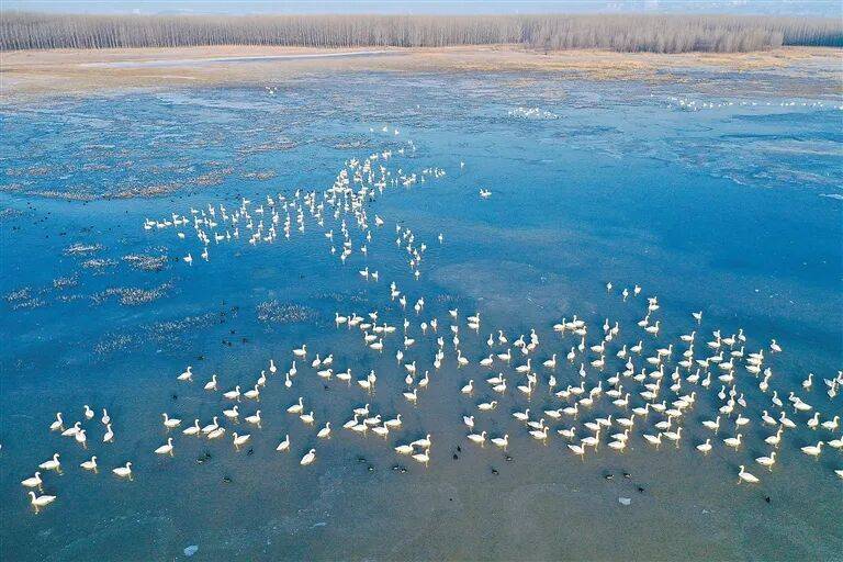 《森林河南•电子时报》第16期：第30个世界湿地日等